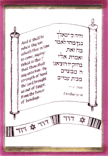 Bar Mitzvah invitation for Parshat Bo